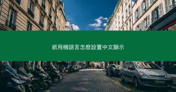 紙飛機語言怎麽設置中文顯示