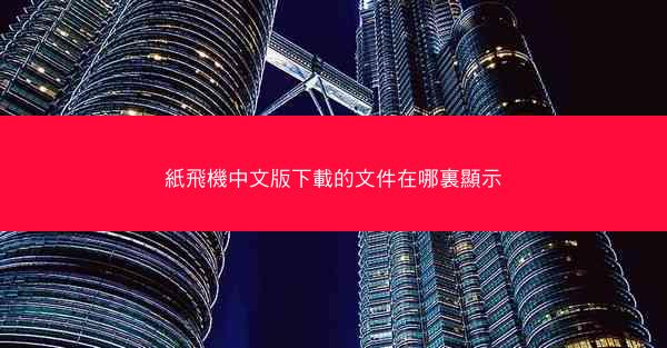 紙飛機中文版下載的文件在哪裏顯示