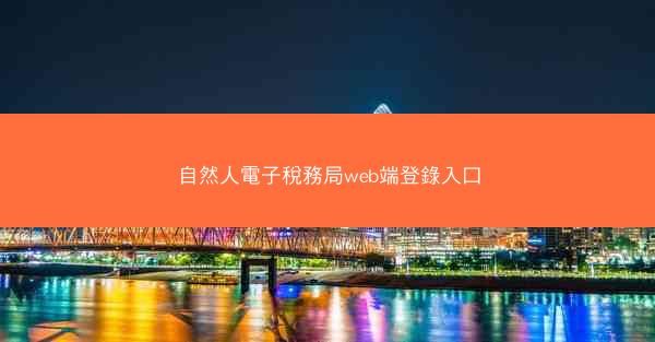 自然人電子稅務局web端登錄入口