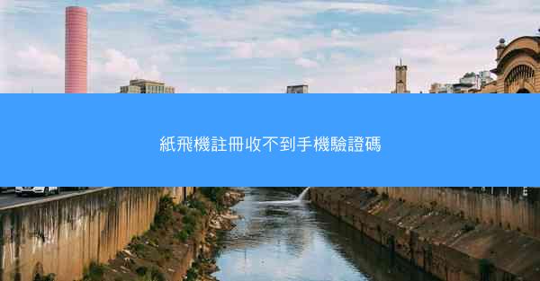 紙飛機註冊收不到手機驗證碼