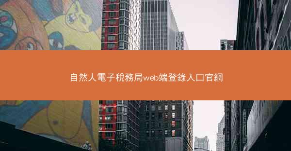 自然人電子稅務局web端登錄入口官網