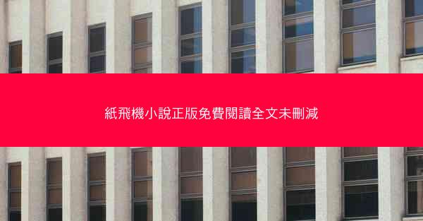 紙飛機小說正版免費閱讀全文未刪減