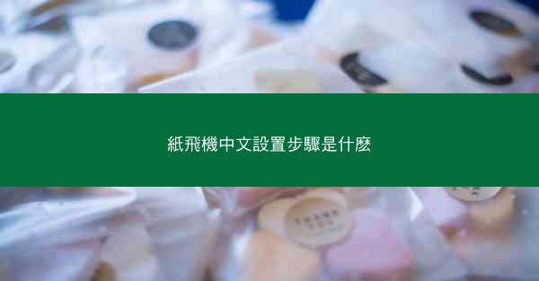 紙飛機中文設置步驟是什麽