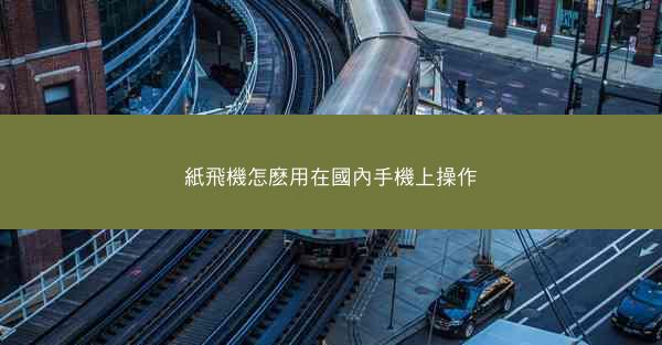 紙飛機怎麽用在國內手機上操作