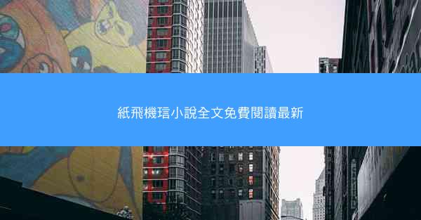 紙飛機琂小說全文免費閱讀最新