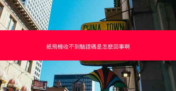 紙飛機收不到驗證碼是怎麽回事啊