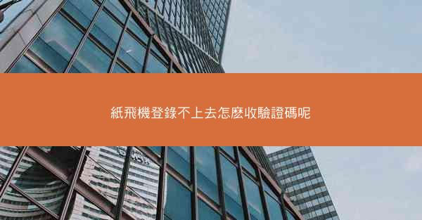 紙飛機登錄不上去怎麽收驗證碼呢