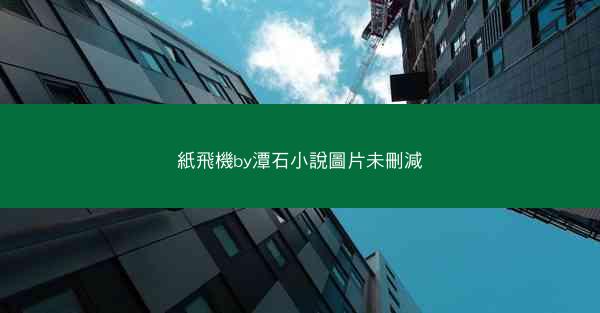 紙飛機by潭石小說圖片未刪減