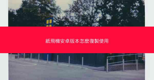 紙飛機安卓版本怎麽復製使用