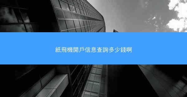 紙飛機開戶信息查詢多少錢啊