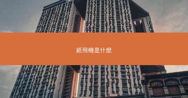 紙飛機是什麽