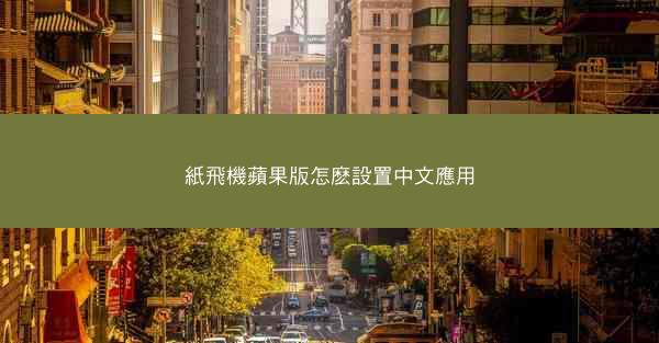 紙飛機蘋果版怎麽設置中文應用
