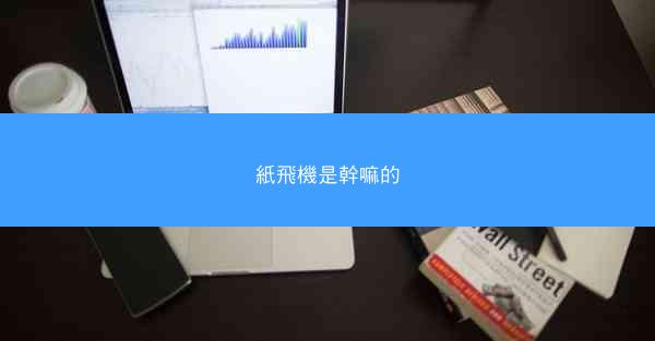 紙飛機是幹嘛的