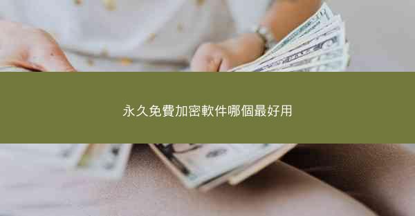 永久免費加密軟件哪個最好用
