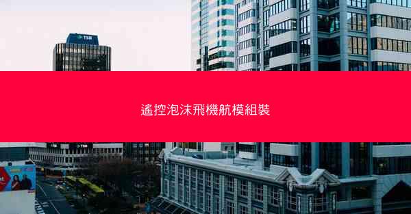 遙控泡沫飛機航模組裝
