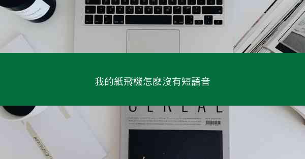 我的紙飛機怎麽沒有短語音