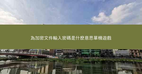 為加密文件輸入密碼是什麽意思單機遊戲