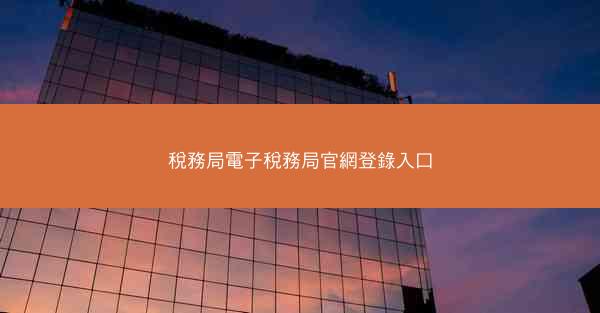 稅務局電子稅務局官網登錄入口