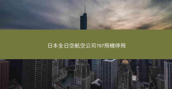 日本全日空航空公司787飛機停飛