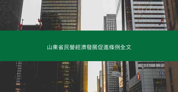 山東省民營經濟發展促進條例全文