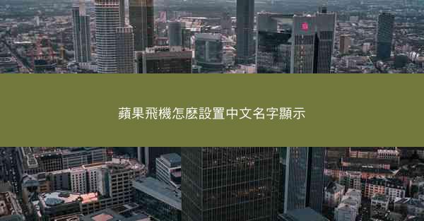 蘋果飛機怎麽設置中文名字顯示