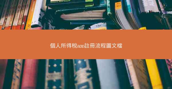 個人所得稅app註冊流程圖文檔