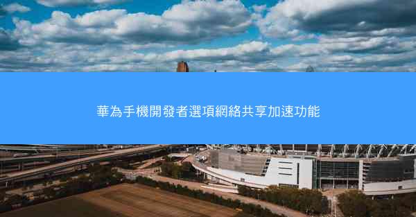 華為手機開發者選項網絡共享加速功能