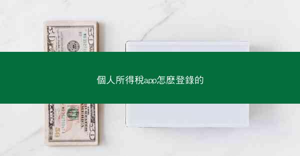 個人所得稅app怎麽登錄的