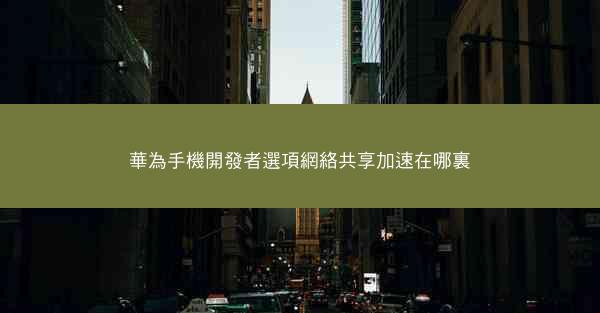 華為手機開發者選項網絡共享加速在哪裏