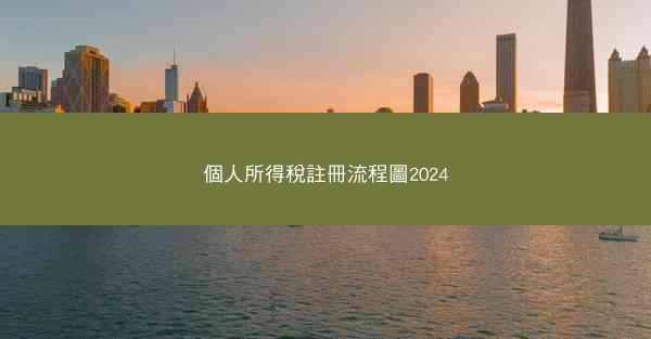 個人所得稅註冊流程圖2024