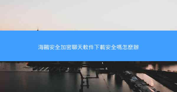 海鷗安全加密聊天軟件下載安全嗎怎麽辦