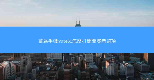 華為手機mate60怎麽打開開發者選項