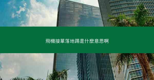 飛機接單落地踢是什麽意思啊