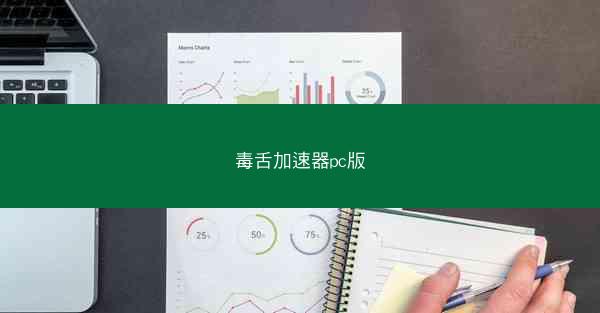 毒舌加速器pc版