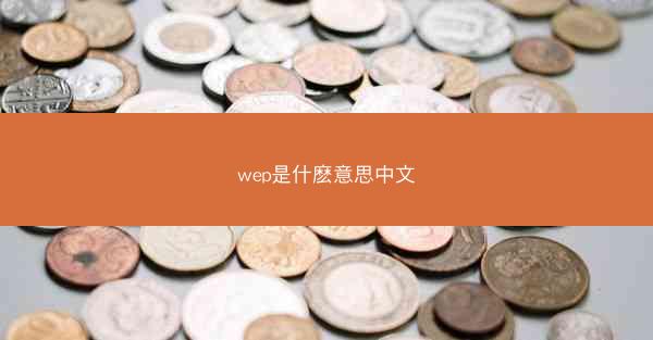 wep是什麽意思中文