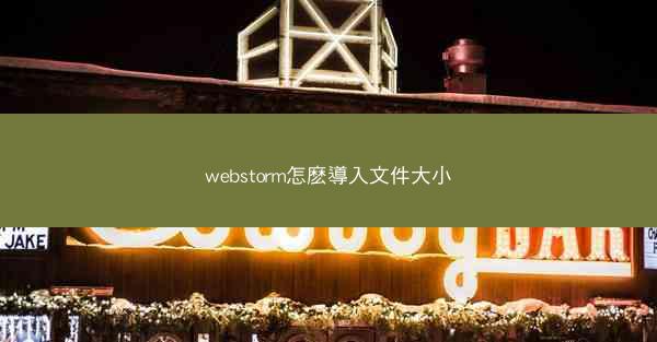 webstorm怎麽導入文件大小