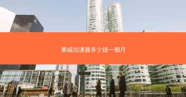 暴喵加速器多少錢一個月
