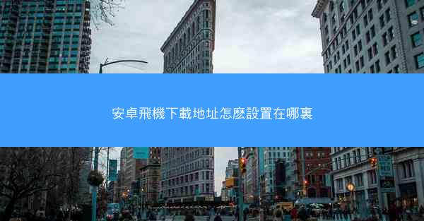 安卓飛機下載地址怎麽設置在哪裏