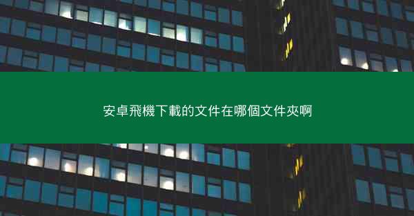 安卓飛機下載的文件在哪個文件夾啊