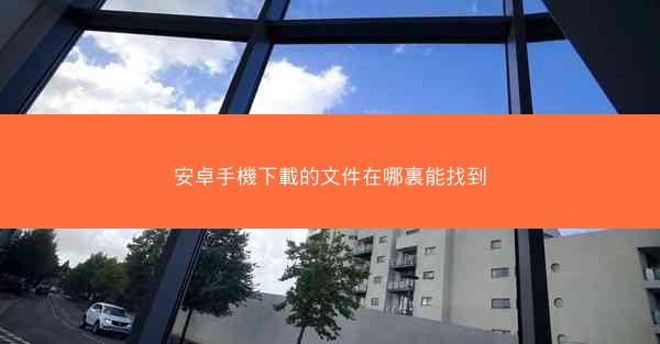 安卓手機下載的文件在哪裏能找到