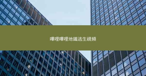 嗶哩嗶哩地鐵逃生視頻