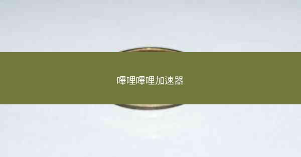 嗶哩嗶哩加速器