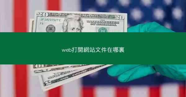 web打開網站文件在哪裏