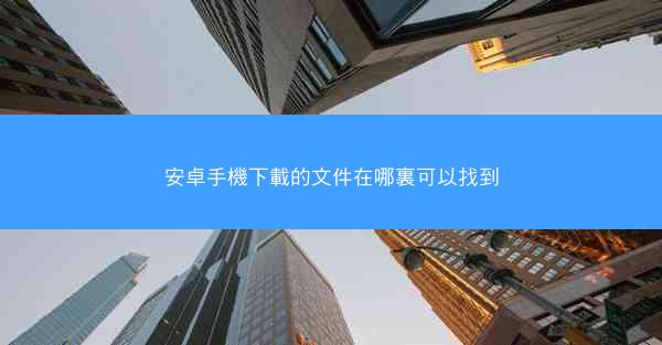 安卓手機下載的文件在哪裏可以找到