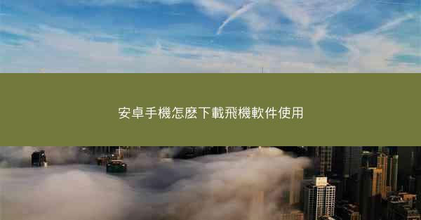 安卓手機怎麽下載飛機軟件使用