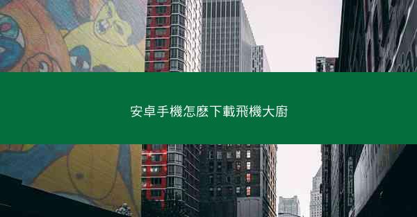 安卓手機怎麽下載飛機大廚