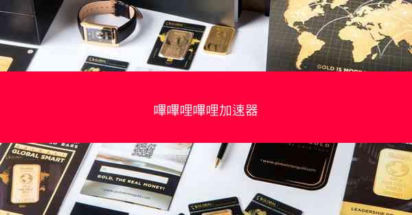 嗶嗶哩嗶哩加速器