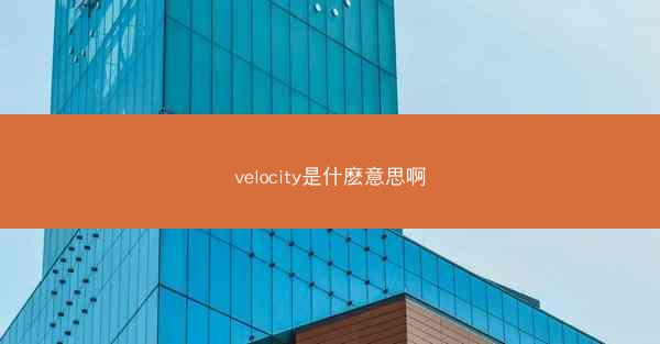 velocity是什麽意思啊