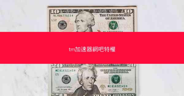 tm加速器網吧特權