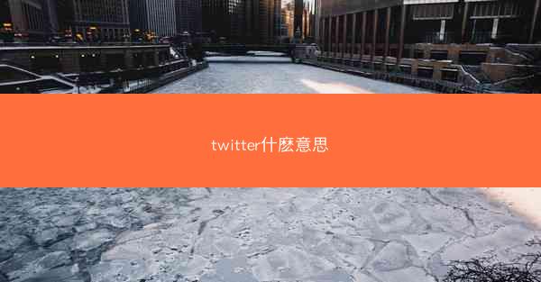 twitter什麽意思